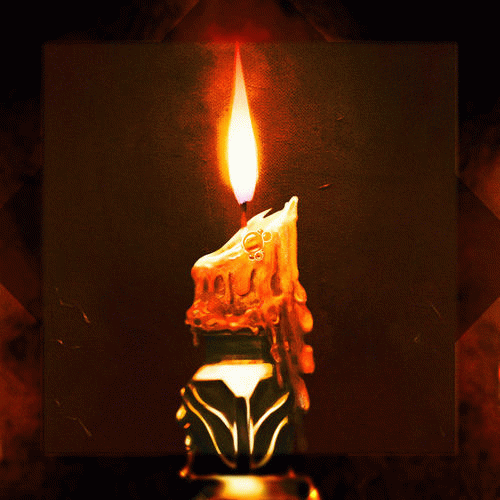 Wet Cactus : My Gaze Is Fixed Ahead